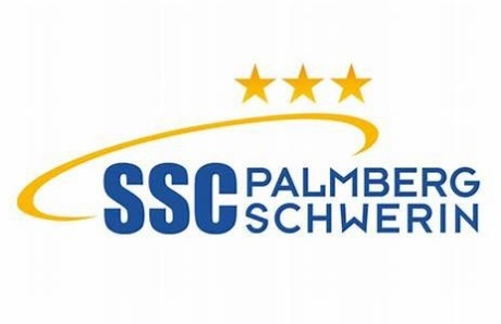 Logo Schweriner SC