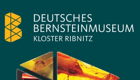 Bernsteinmuseum Logo