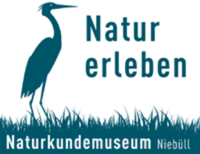 Naturkundemuseum Niebüll